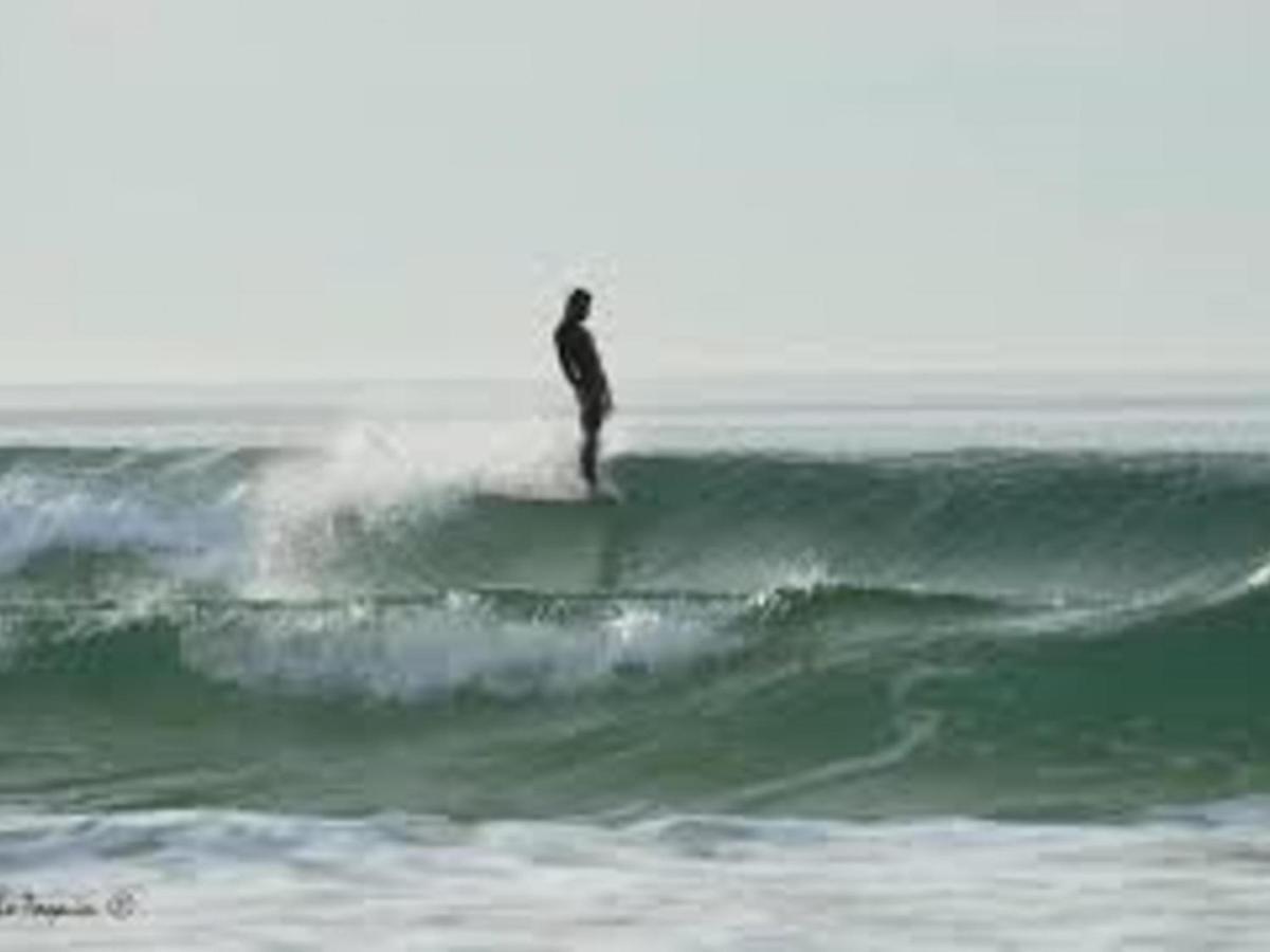 Studio Biscarrosse Plage, 1 pièce, 4 personnes - FR-1-521-118 Esterno foto